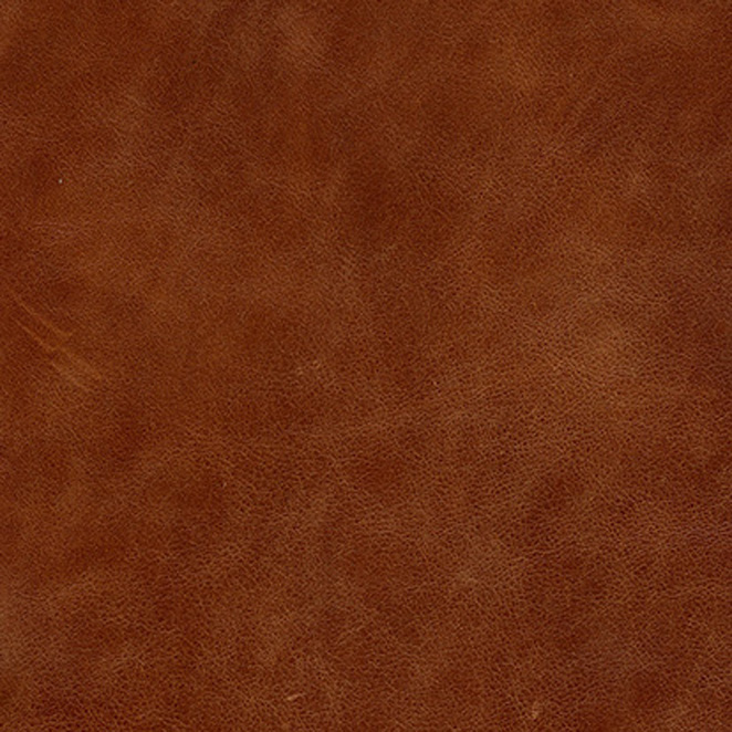 Brooklands Leather Tan