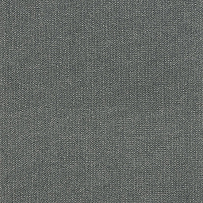 Studio Stain Resistant Velvet Thunder